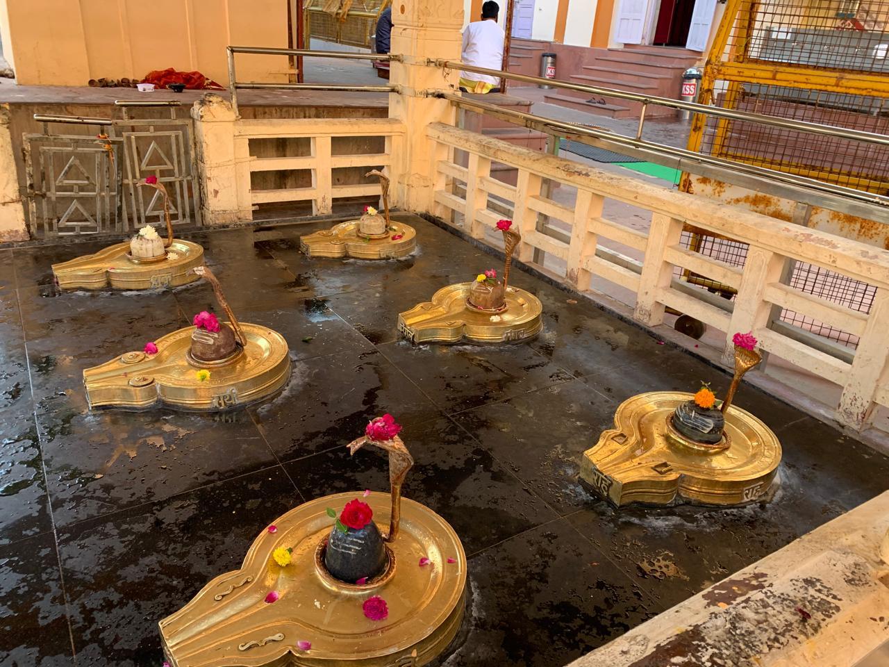 Pandit Ji performing Pitra Dosh Shanti Puja ceremony